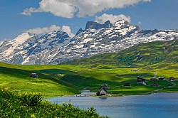 Swiss