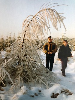 Ice