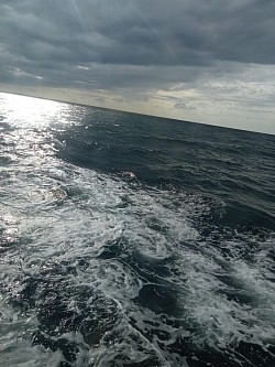 Wave