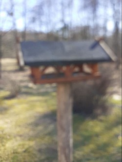 Vogelhaus