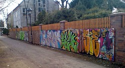Plante 82